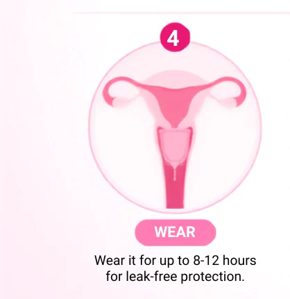 Step 4: Wear the cup