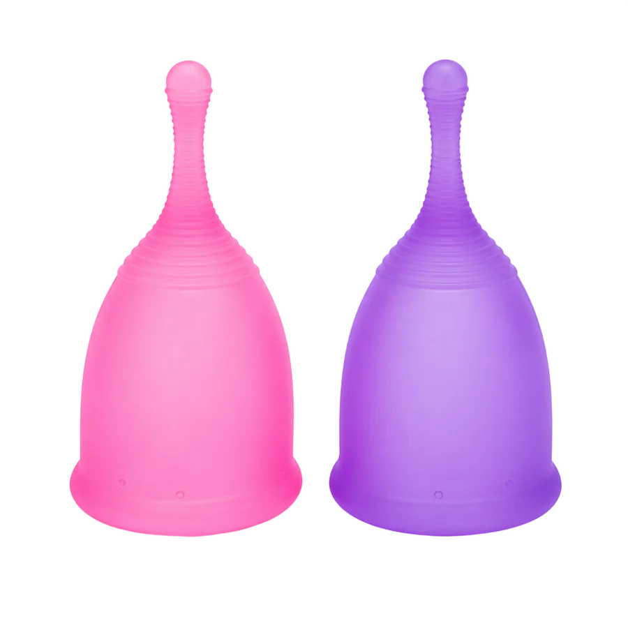 CarePlusFem cup pink and purple pair