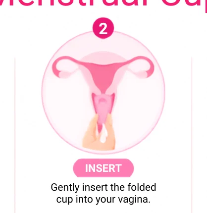 Step 2: Insert the cup